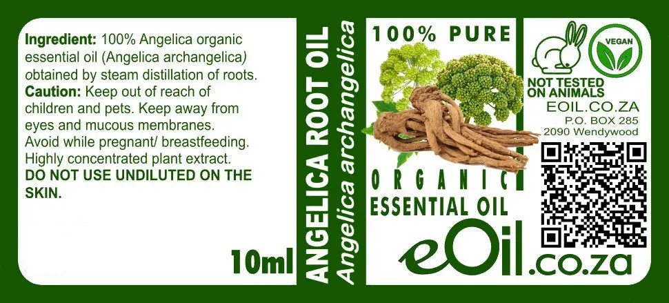 Angelica Root Essential Oil Organic