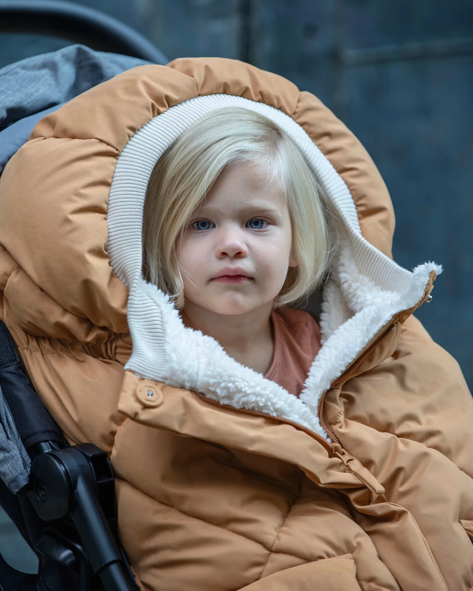 Blanket 212 evolution - Benji