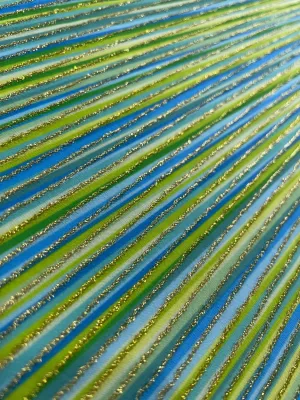 Blue Green Striped Shimmer Ottoman Fabric - Versatile 4-Way Stretch
