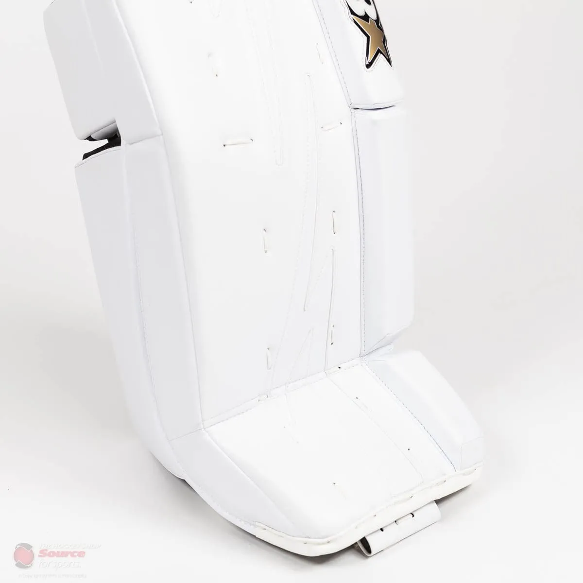 Brian's NetZero 2 Intermediate Goalie Leg Pads
