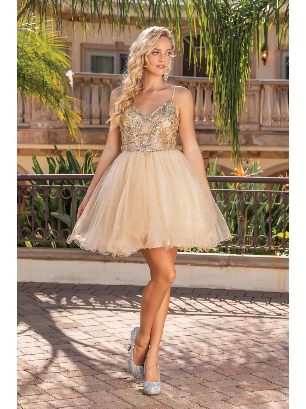 Dancing Queen 3337