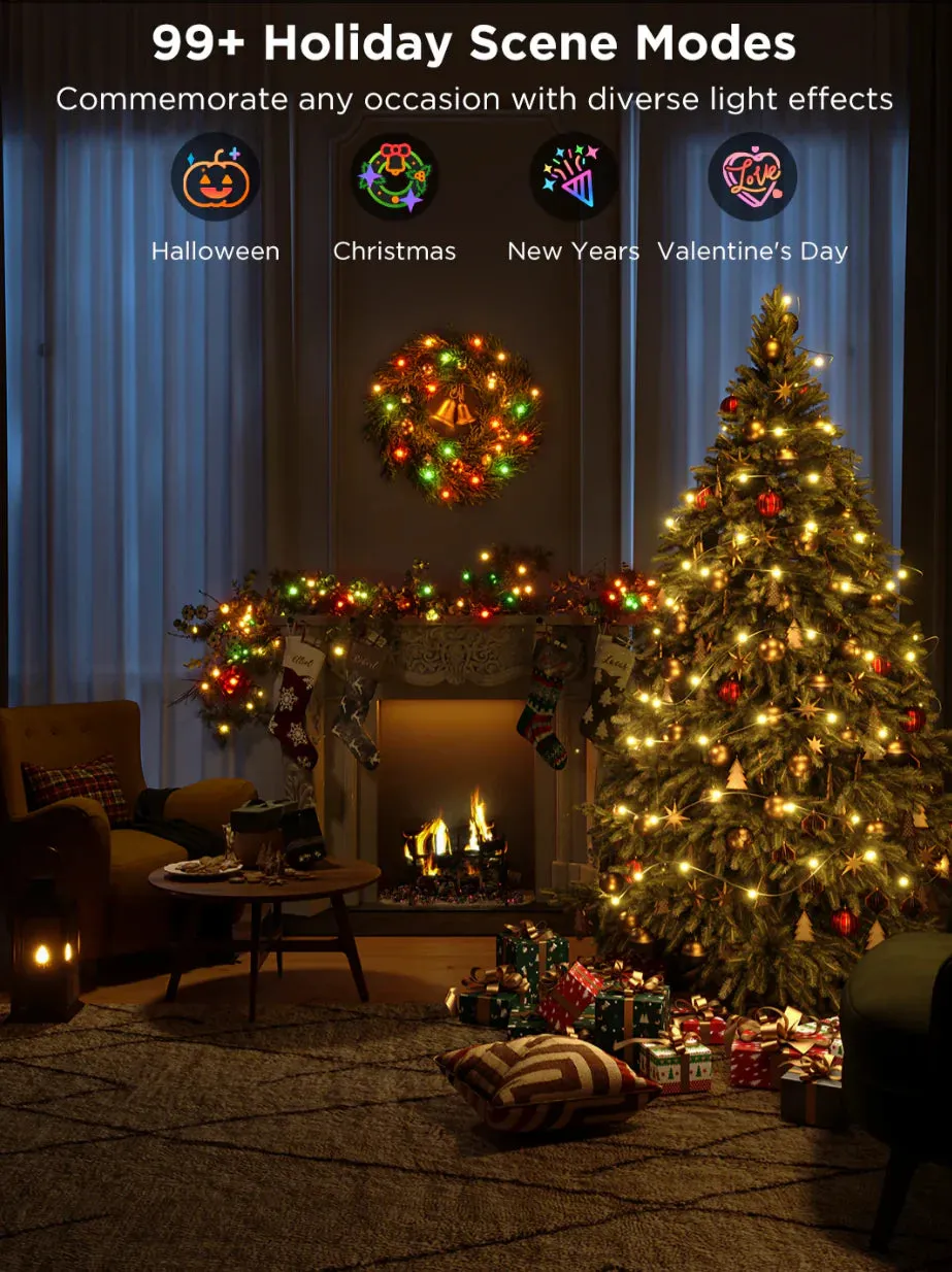 Fairy Christmas String Lights