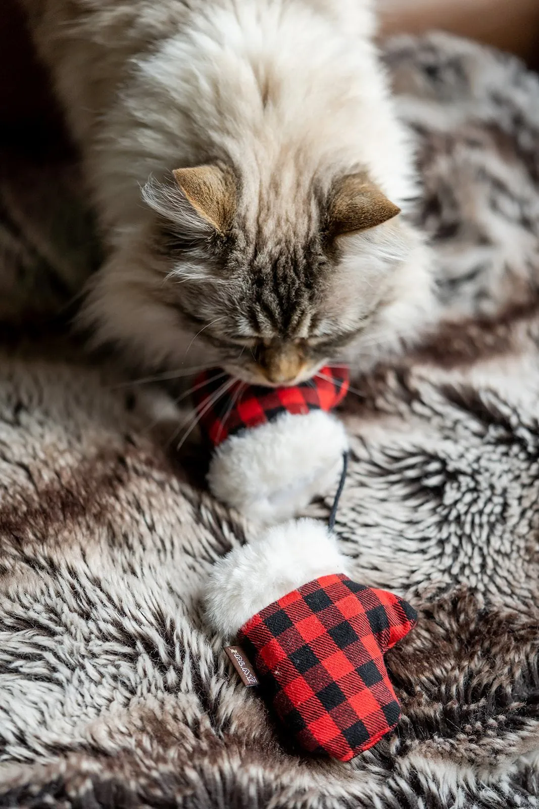 Feline Frenzy Kitten Mittens