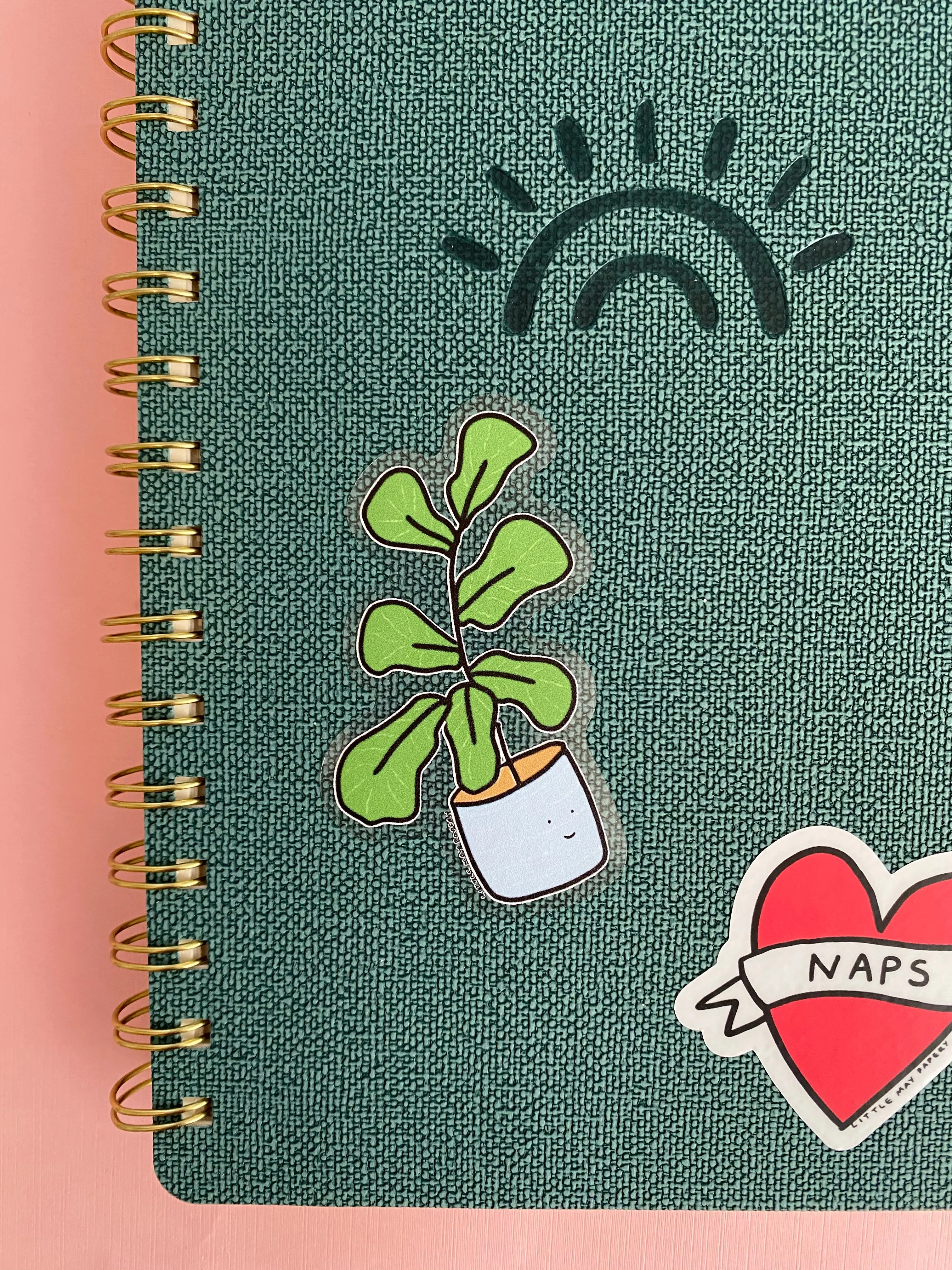 Fiddle Leaf Fig Clear vinyl sticker
