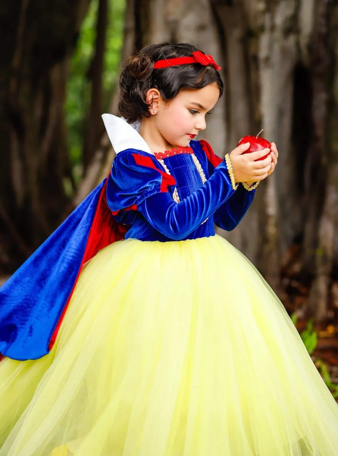 Girls Fairest Princess Deluxe Costume Gown