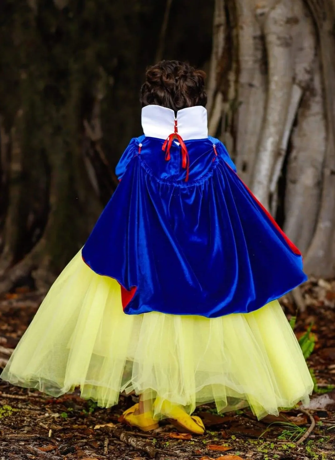 Girls Fairest Princess Deluxe Costume Gown