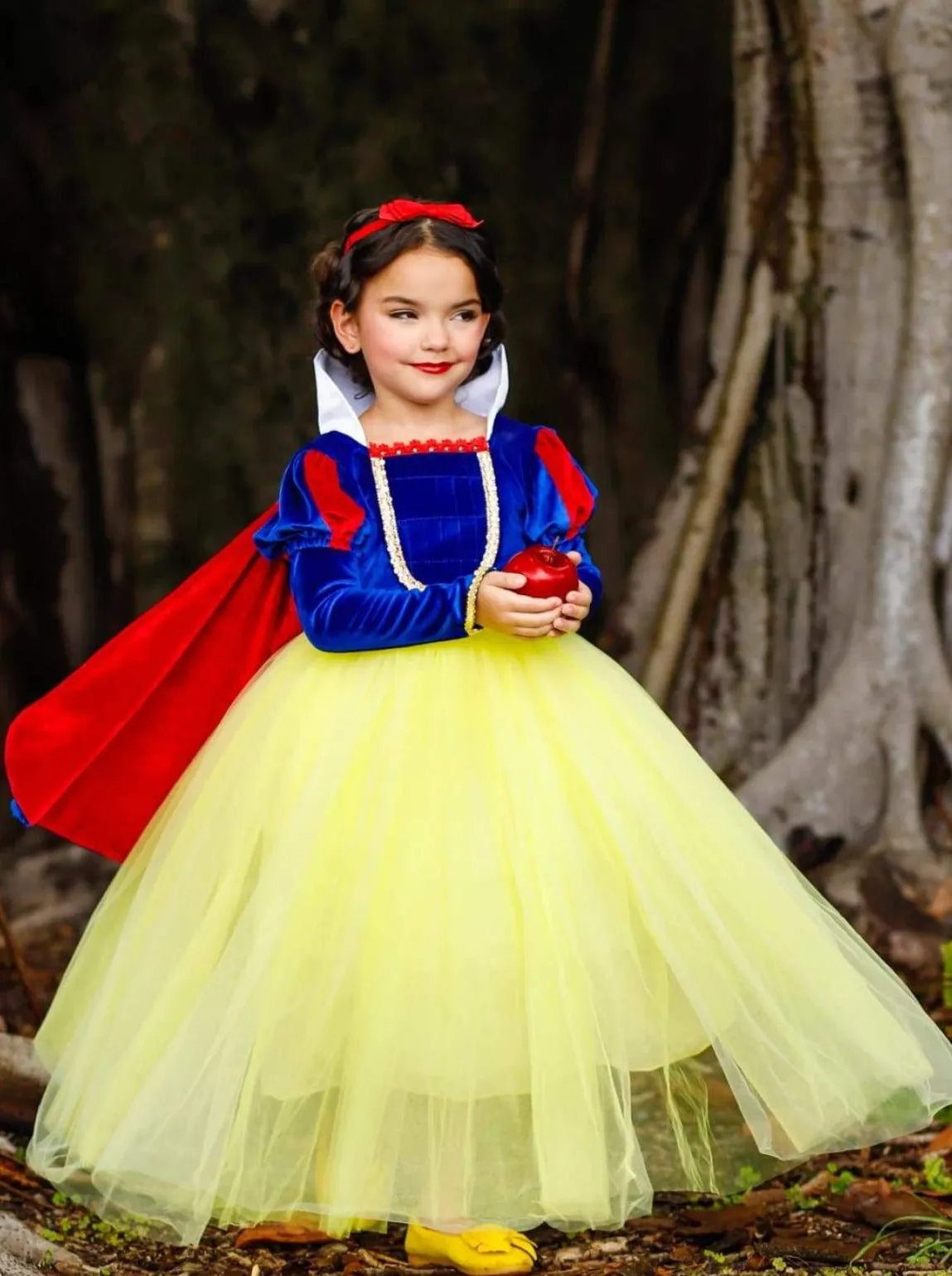 Girls Fairest Princess Deluxe Costume Gown