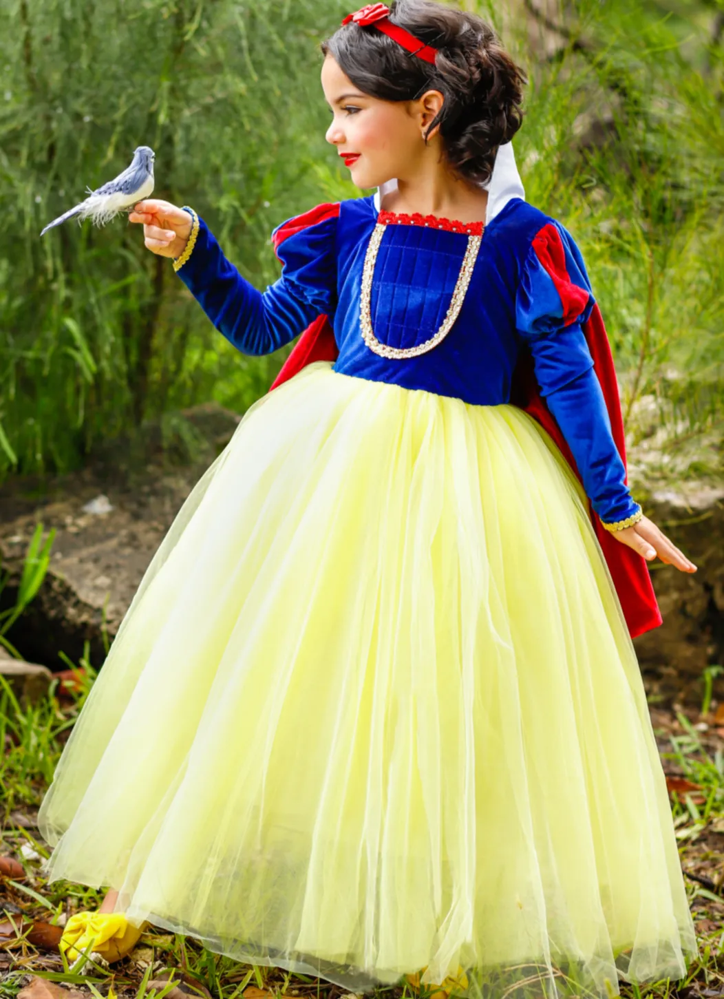 Girls Fairest Princess Deluxe Costume Gown