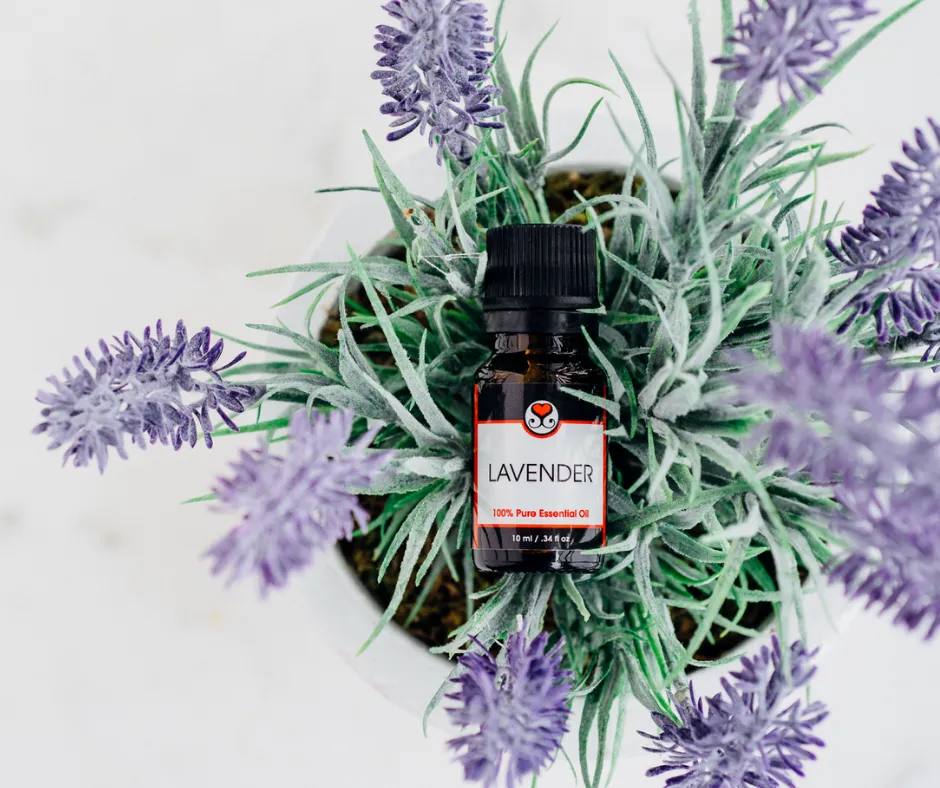 Lavender 100% Pure Essential Oil