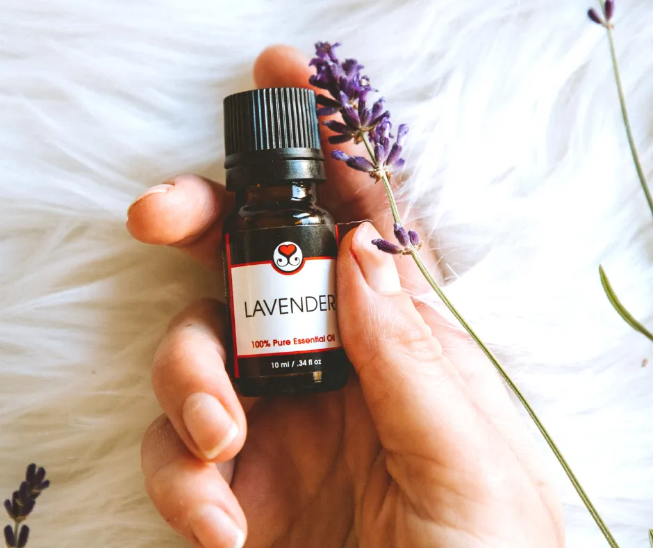 Lavender 100% Pure Essential Oil
