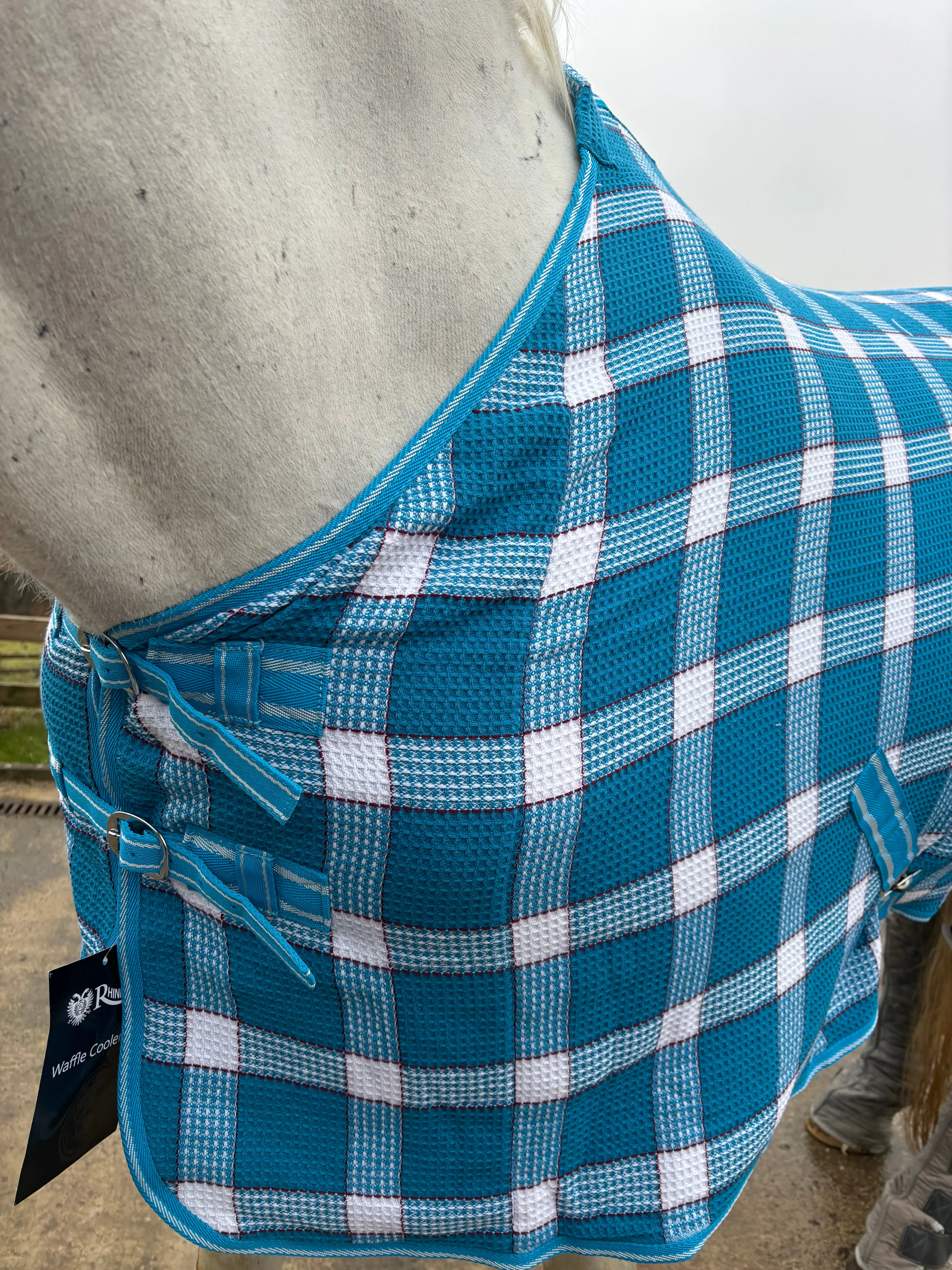 NEW rhinegold waffle cooler rugs, sizes 5'0 to 7'0 turquoise and white check❣️