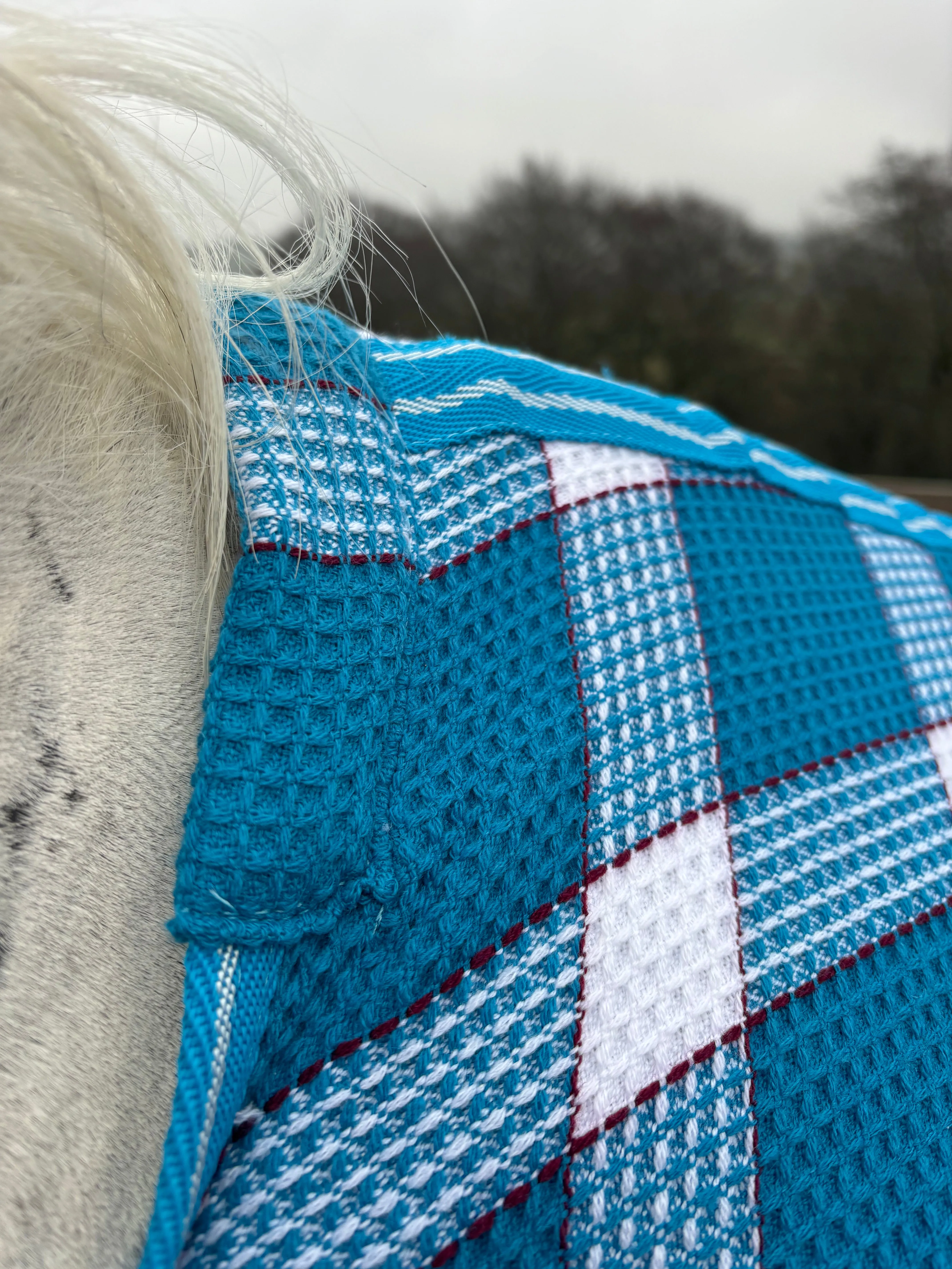 NEW rhinegold waffle cooler rugs, sizes 5'0 to 7'0 turquoise and white check❣️