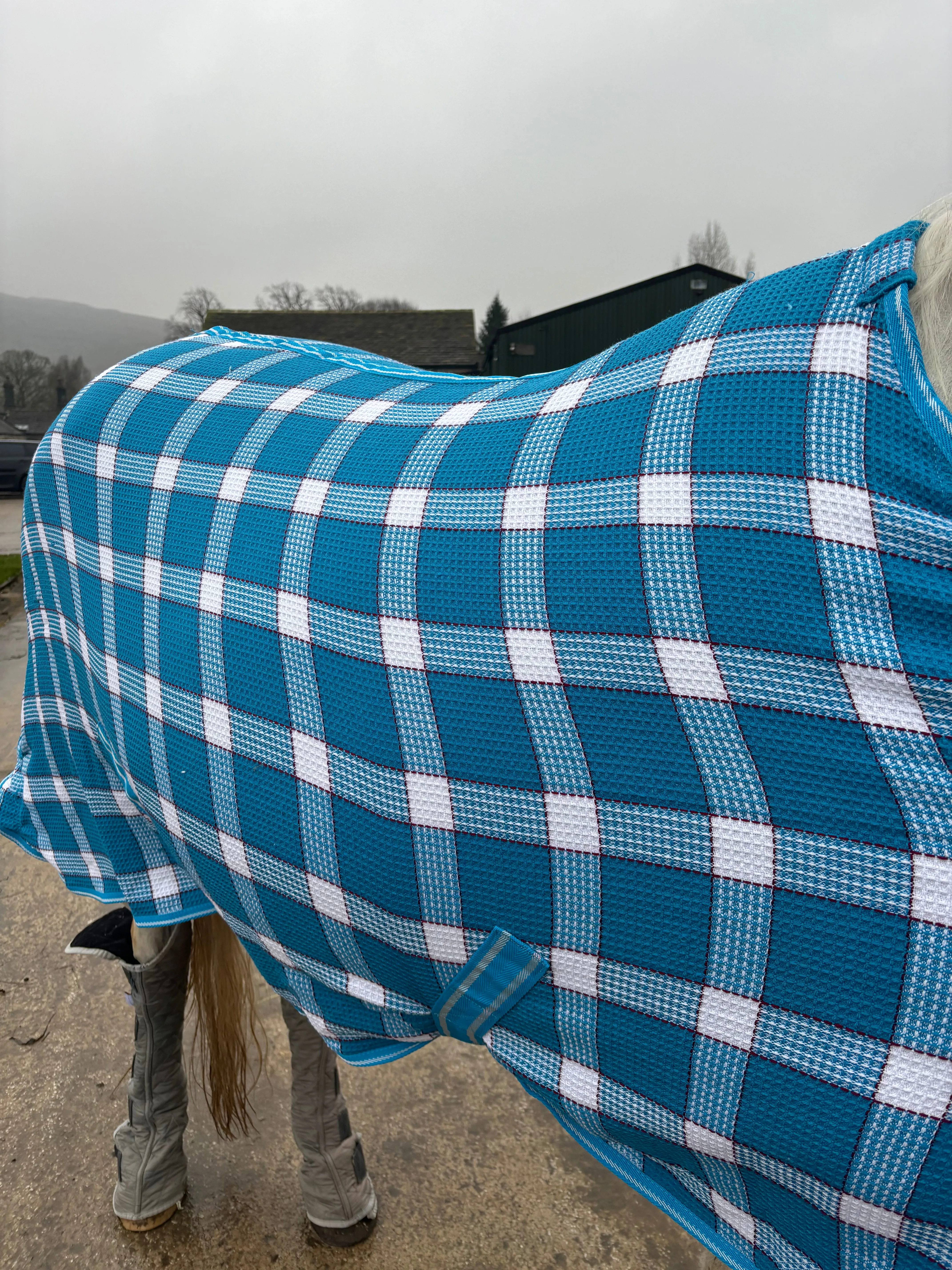 NEW rhinegold waffle cooler rugs, sizes 5'0 to 7'0 turquoise and white check❣️
