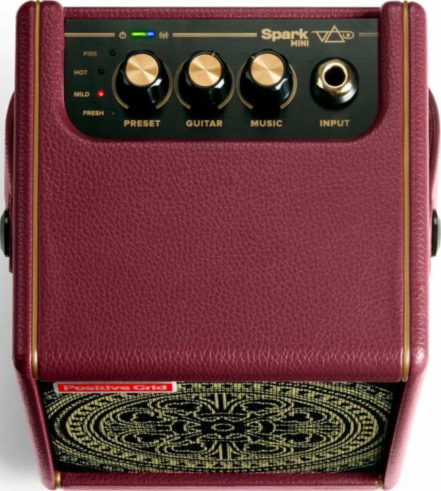 Positive Grid 10W Portable Guitar Combo Amp, Steve Vai Special Edition