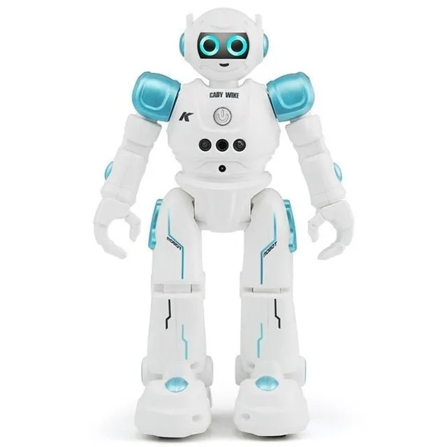 Smart Robot Smart Toy