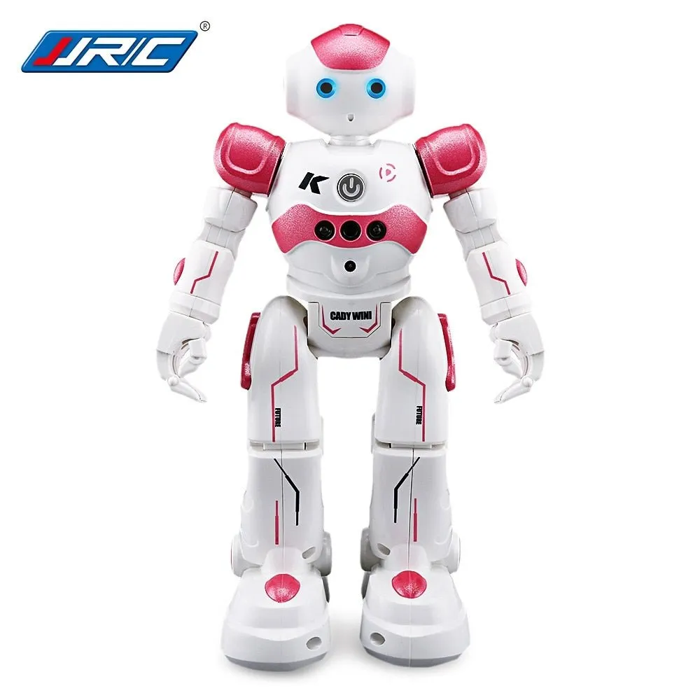 Smart Robot Smart Toy