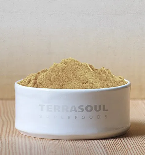 Terrasoul Superfoods Camu Camu Polvo (Orgánico)