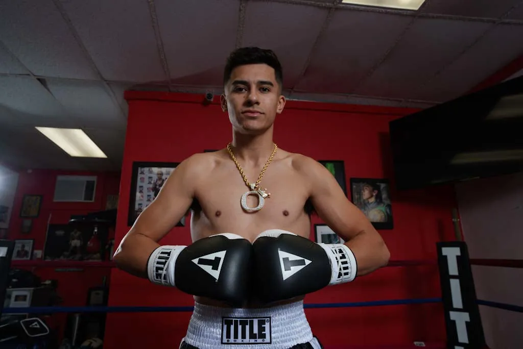 TITLE Boxing Great Official Pro Fight Boxing Gloves