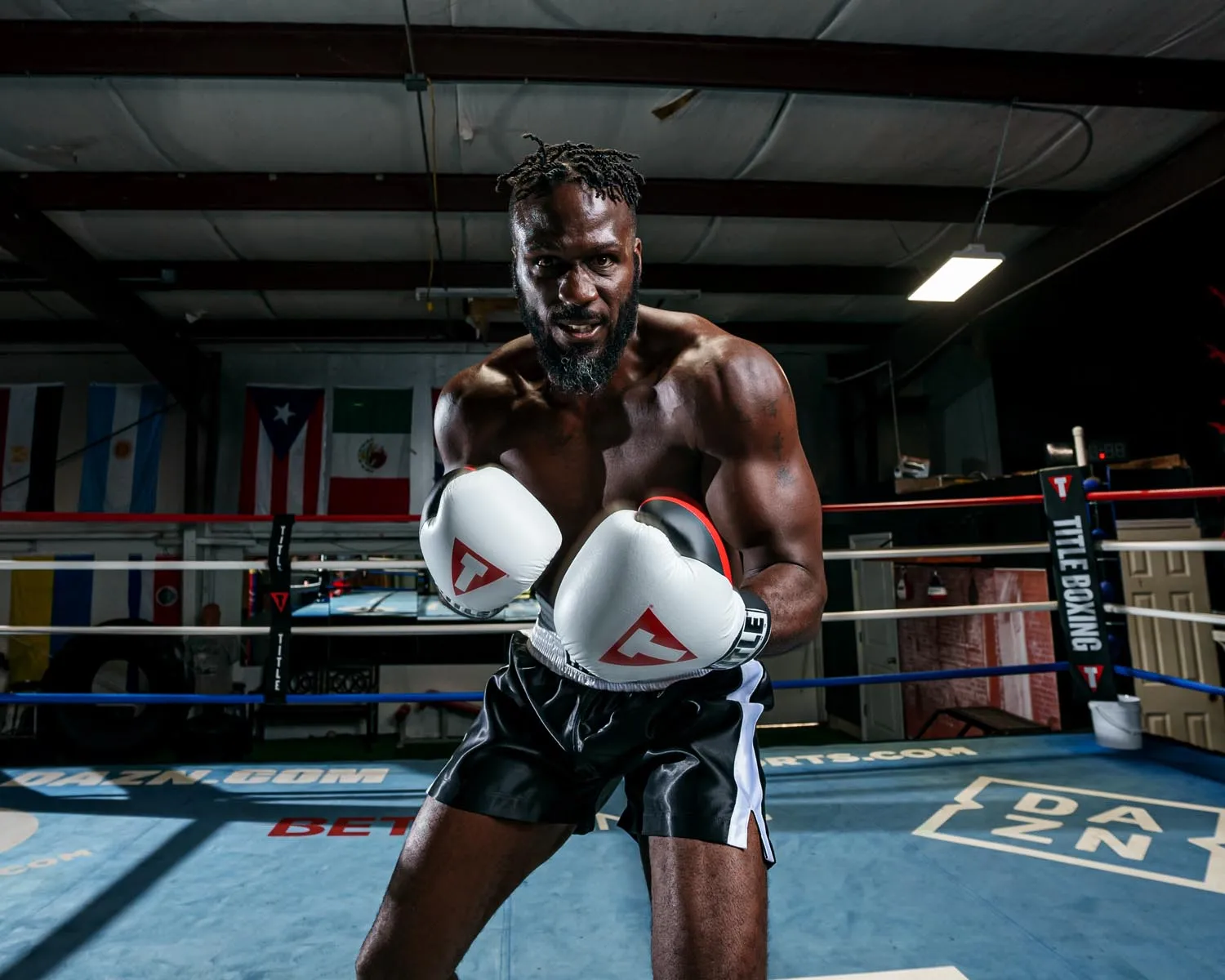TITLE Boxing Great Official Pro Fight Boxing Gloves