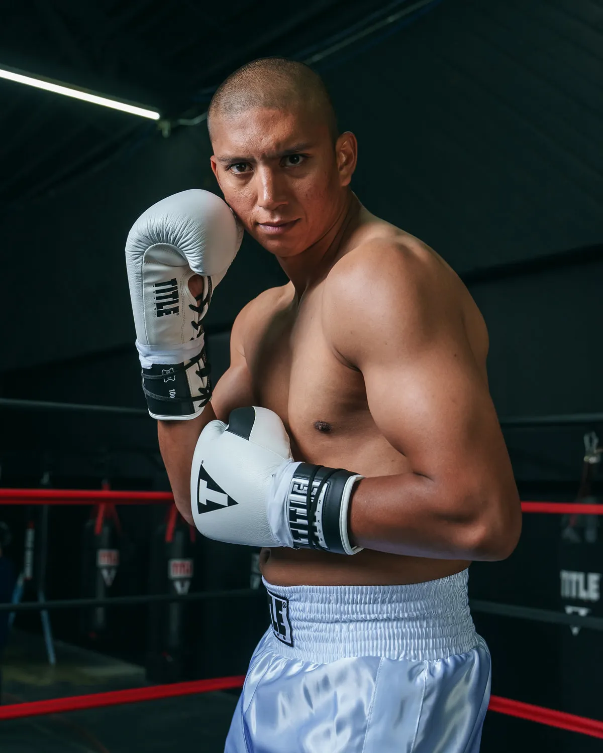 TITLE Boxing Great Official Pro Fight Boxing Gloves