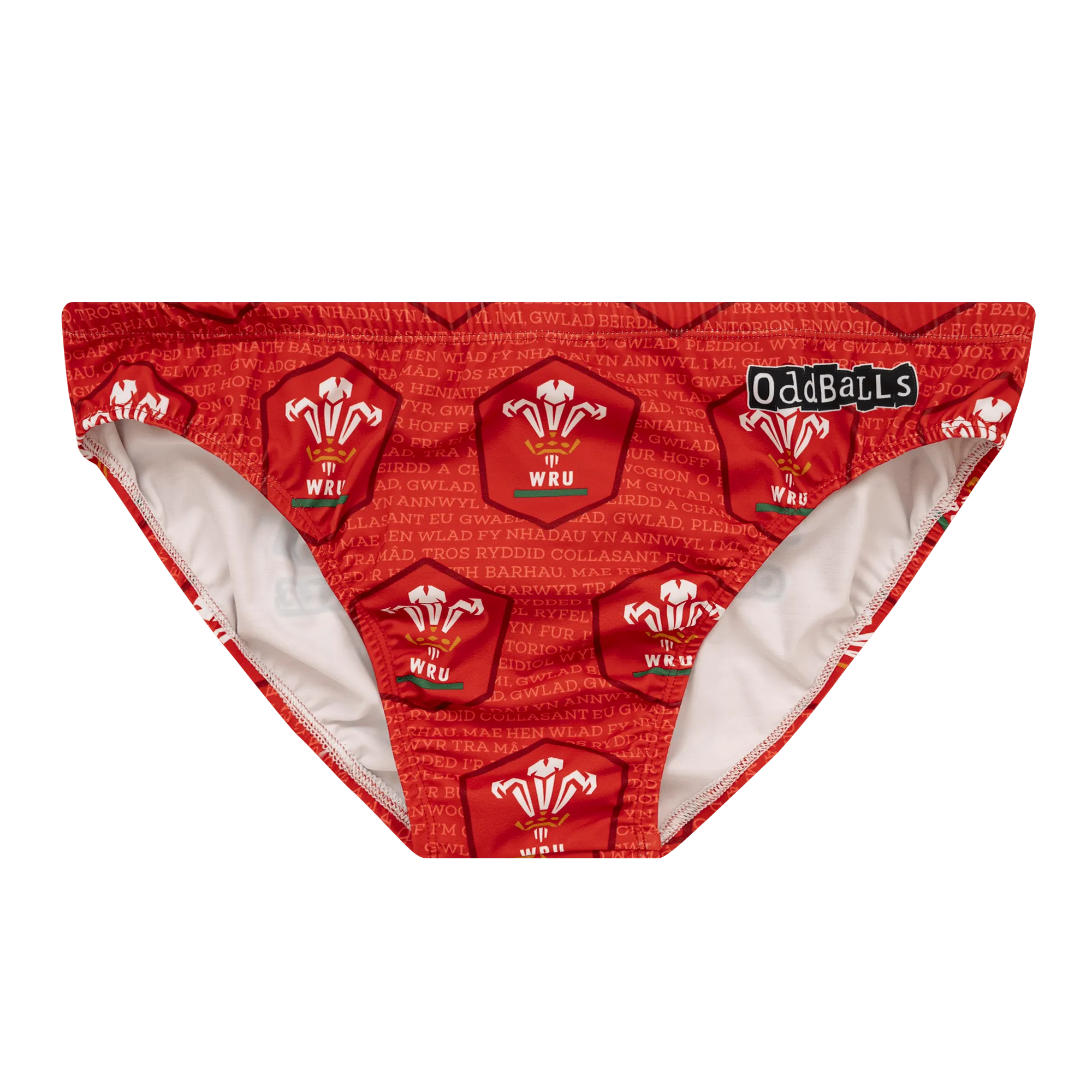 Welsh Rugby Union - Swimming Briefs