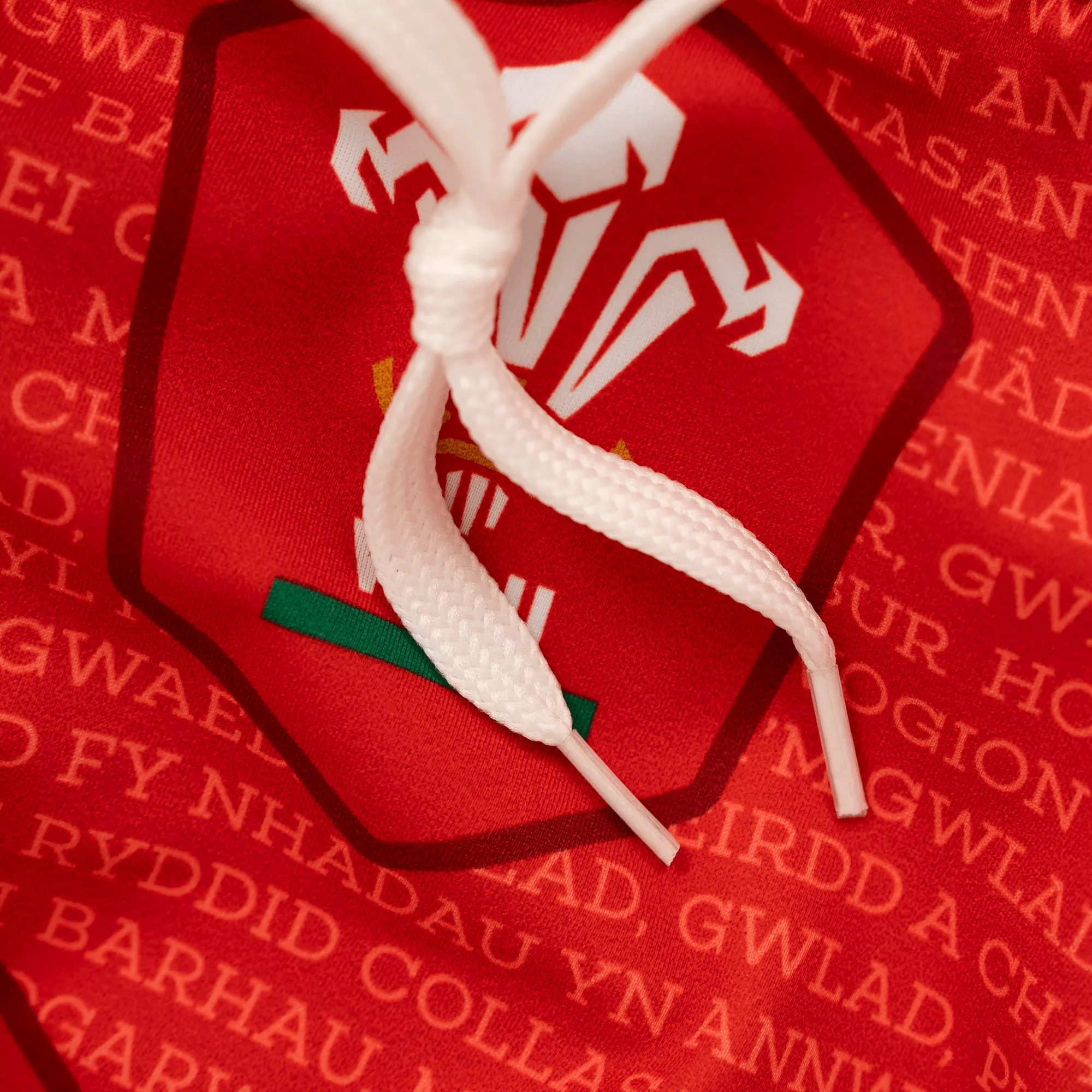 Welsh Rugby Union - Swimming Briefs