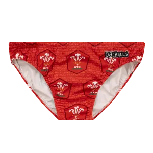 Welsh Rugby Union - Swimming Briefs