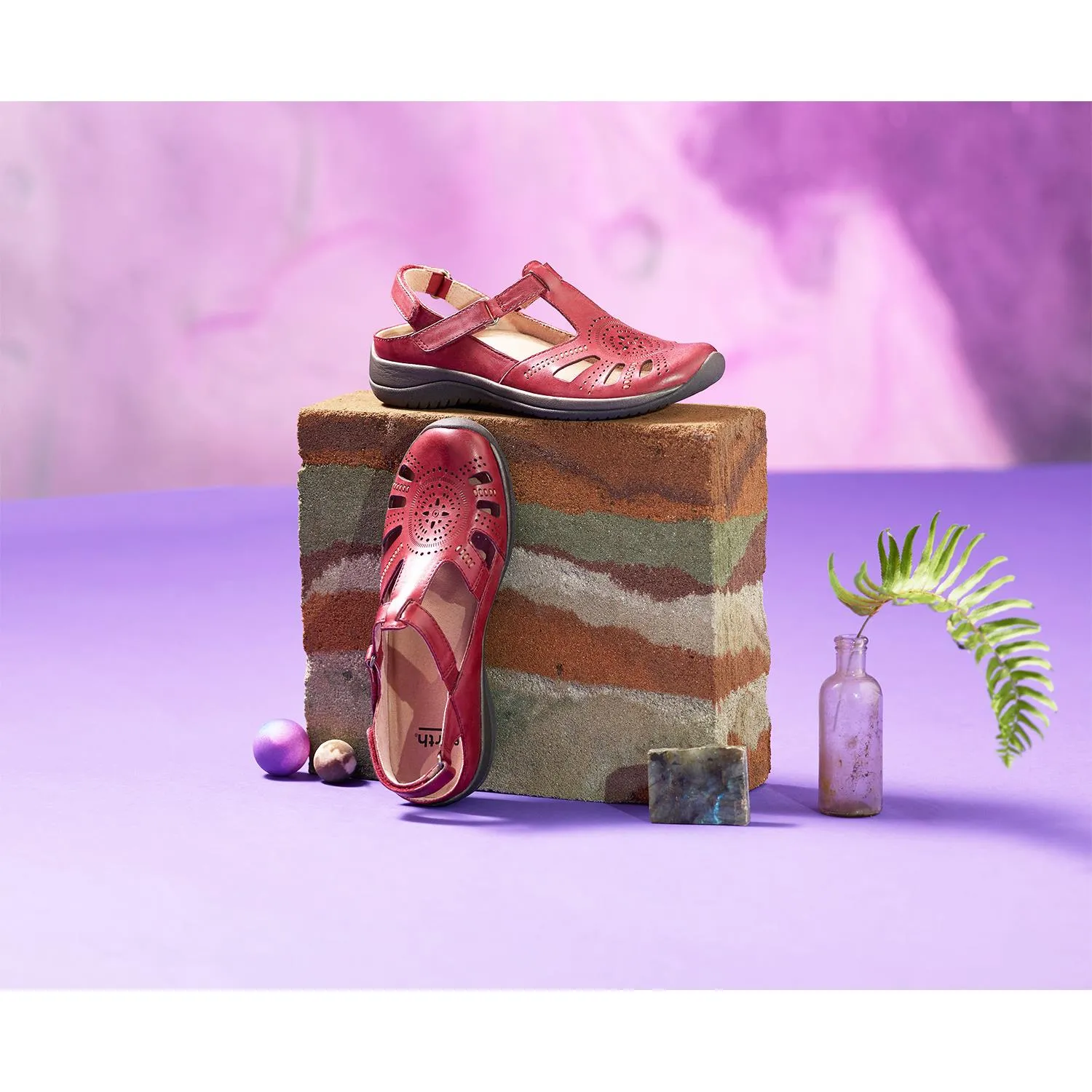 Women's Earth Curie Bordeaux Leather
