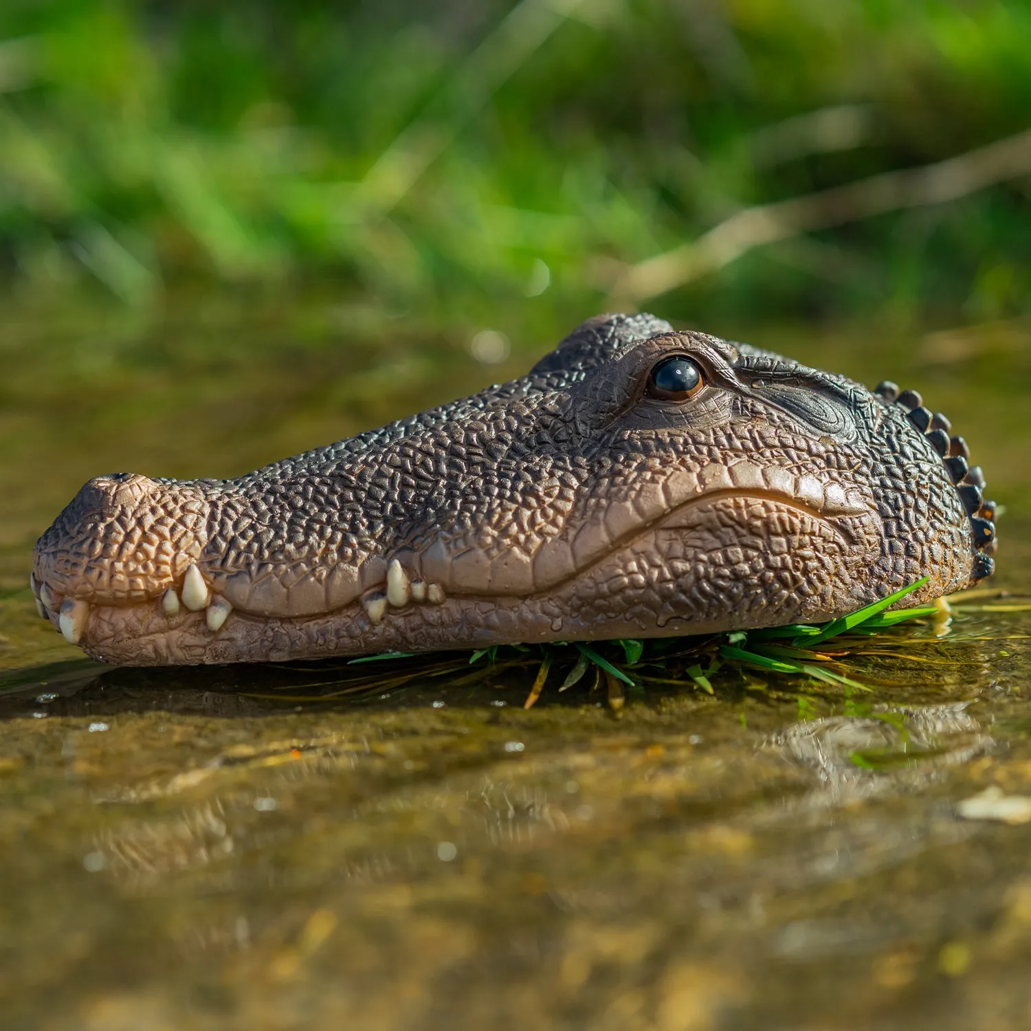 Woodside Floating Garden Pond Water Feature Crocodile/Alligator Ornament Head